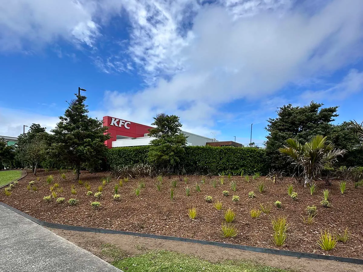 Commercial Landscaping