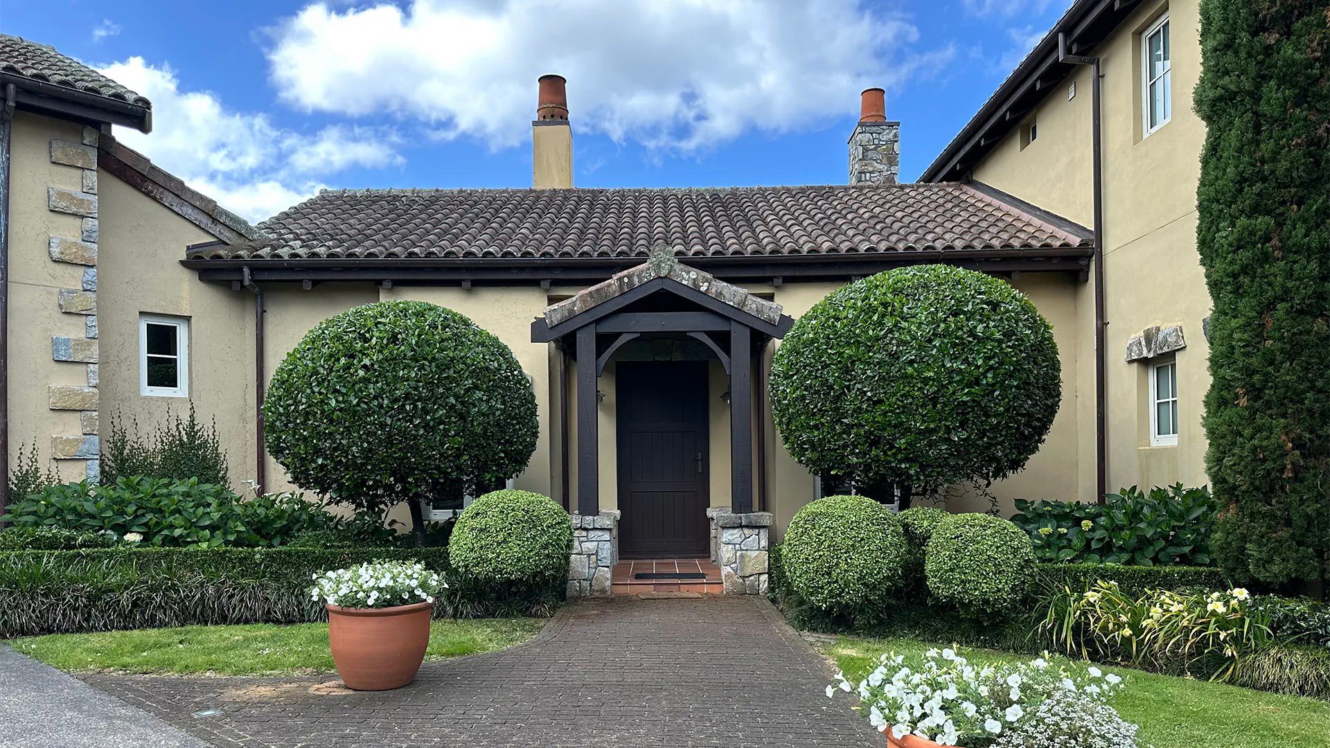 Manicured topiary and planted beds at a Dairy Flat home.