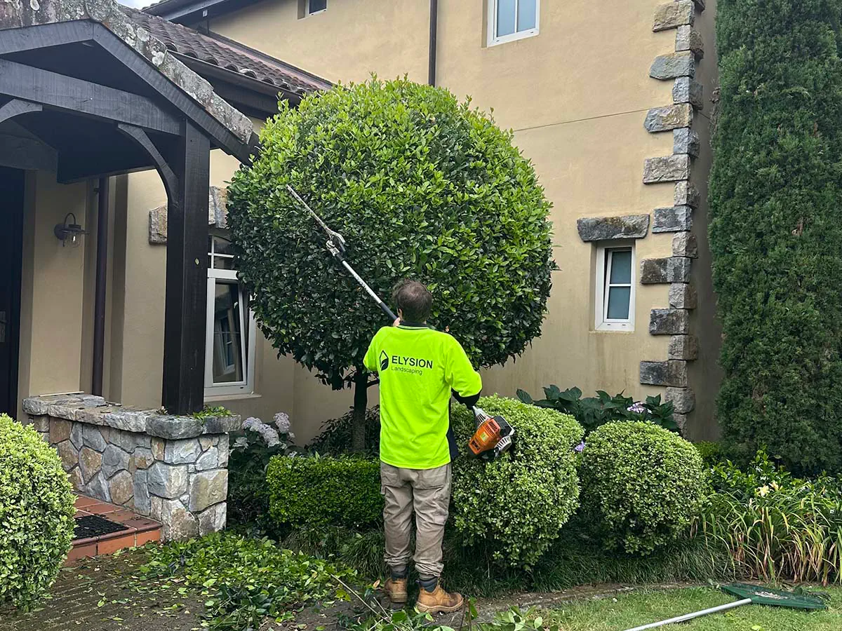 The Hands Behind the Green